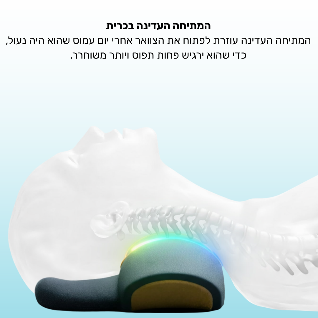 כרית טיפולית ביתית SIVORTIA