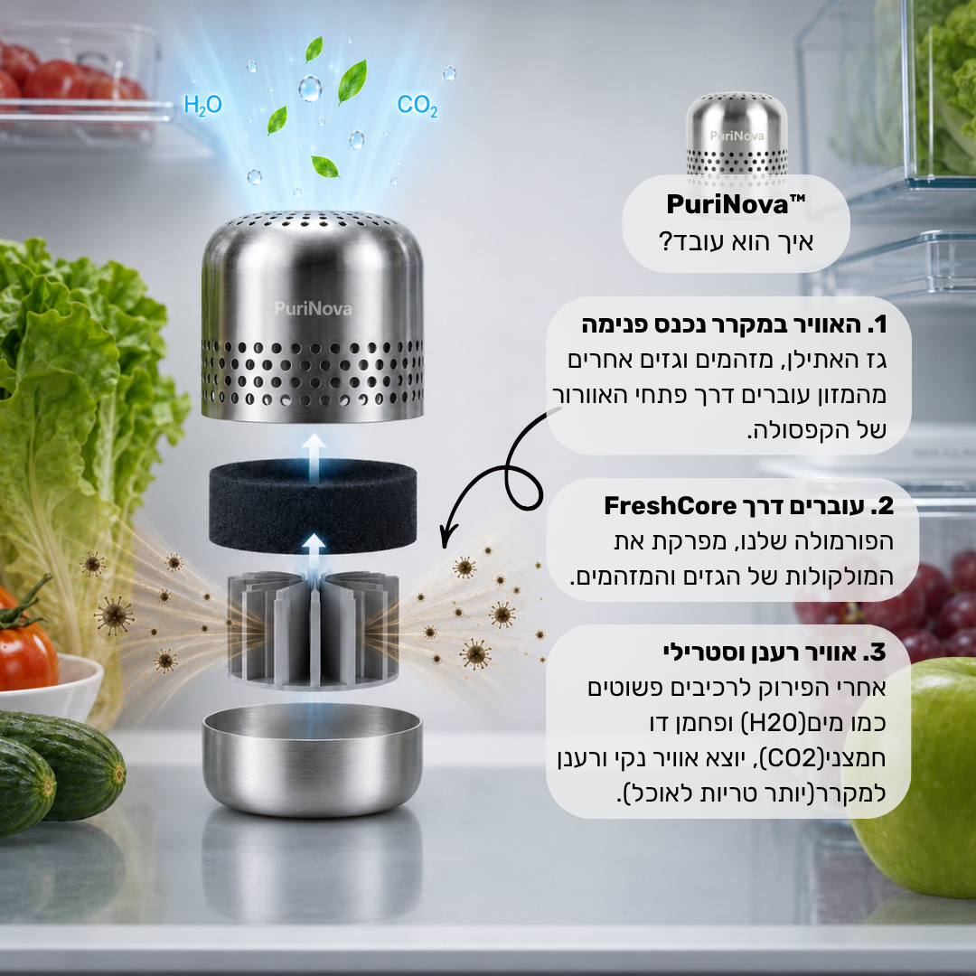 מנטרל גזים ומזהמים באוויר מהשורש ™PuriNova